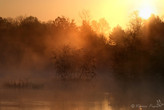 Etang en Charente