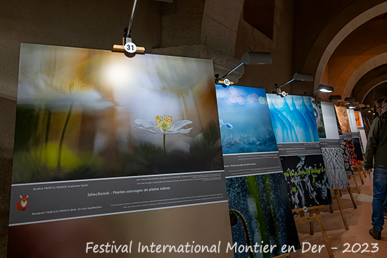 Concours Festival Montier en Der - Martine Propice
