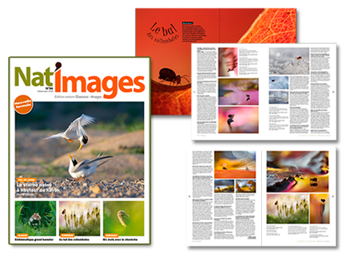 Nat'Images n° 96 - Martine Propice