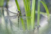 h2a8764-1920px-s.jpg